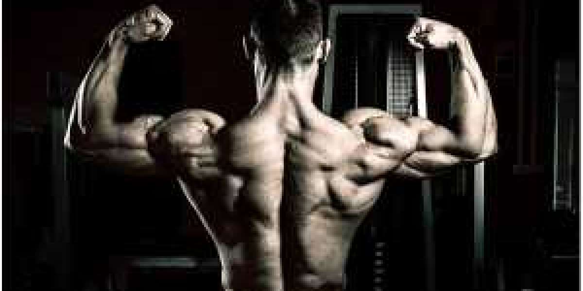 Sort Out All Your Queries Related To Sarms Online Canada