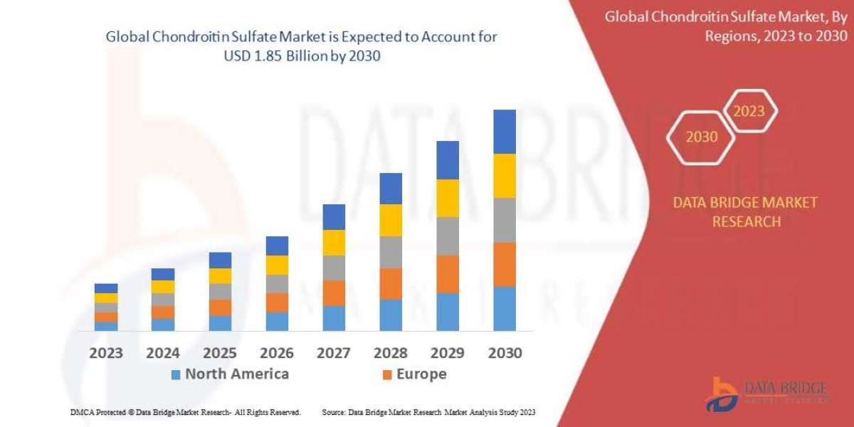 Chondroitin Sulfate Market, Applications and Market– Industry Analysis, Size, Share, Growth and Forecast 2028